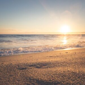 Live Basic Meditation: Mondays, June 30, 2025