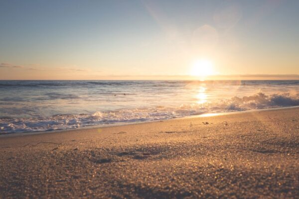 Live Basic Meditation: Mondays, June 30, 2025